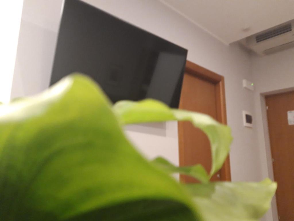 Hotel Garni Rosmari Бренцоне сул Гарда Стая снимка